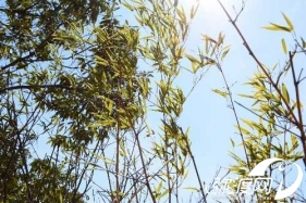 有喜欢拿相机翻腾的朋友吗，一起学习啊