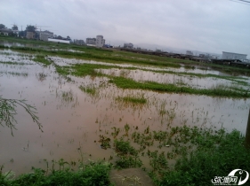 弥渡在下大雨就可以到弥渡看海了