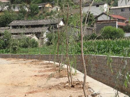 德苴乡开创健康文明生活方式的良好氛围