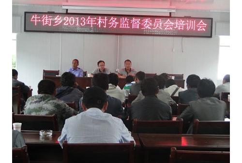 牛街乡鼓舞委员会认真履职  发挥效能