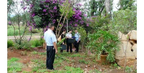 弥渡县规范整顿林木种苗生产工作