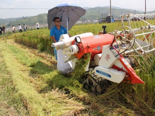 弥渡一万多台农机下田助秋收